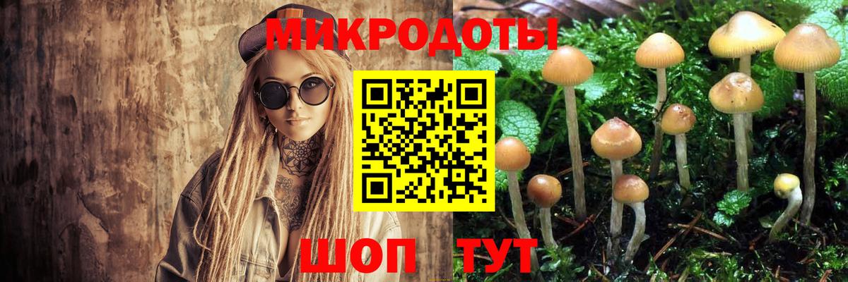 Галлюциногенные грибы MAGIC MUSHROOMS Новошахтинск